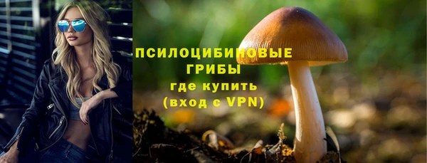 хмурый Алзамай