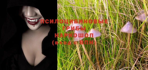 хмурый Алзамай