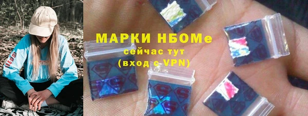 хмурый Алзамай